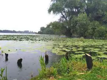 National Nature Reserve of Romelaere Ponds
