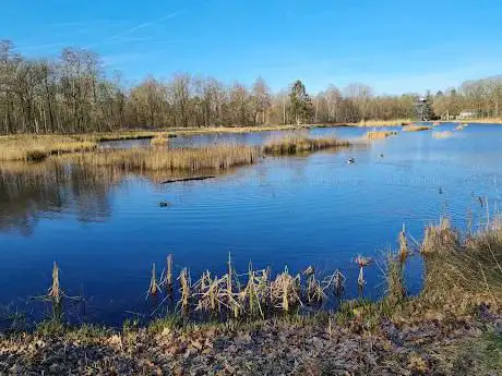 Photo de Beverbekerdijk