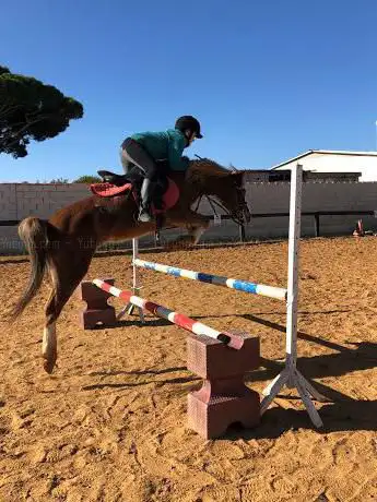Photo de Cortijo La Yeguada Equitación