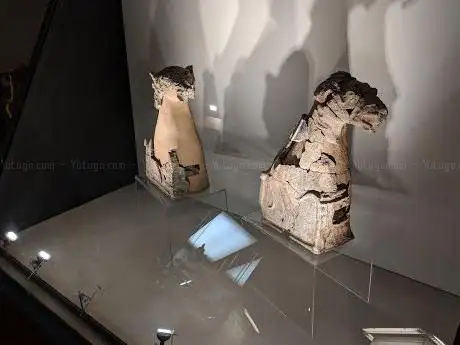 Photo de Museo Archeologico Eno Bellis
