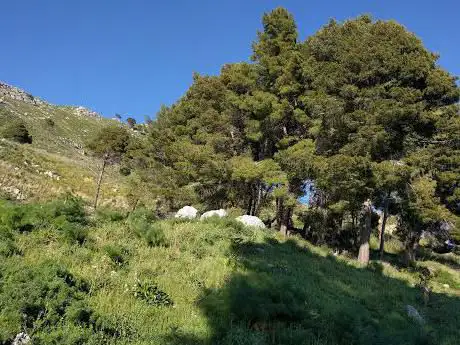 Photo de Contrada Capo D'acqua