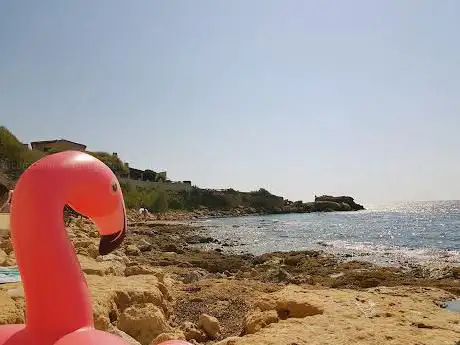 Photo de Crique du Sauvage