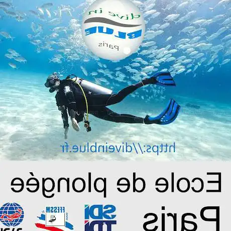 Dive in Blue