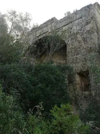Photo de Cripta di Sant'Onofrio