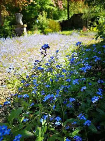 Photo de Kasteel Roegiers