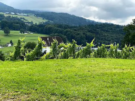 Leutschen