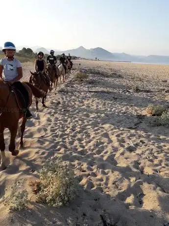 Nausdream - Cavalcata in Spiaggia