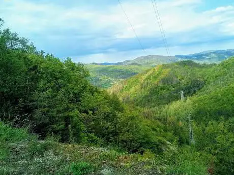 Photo de Sentiero della Collinaccia