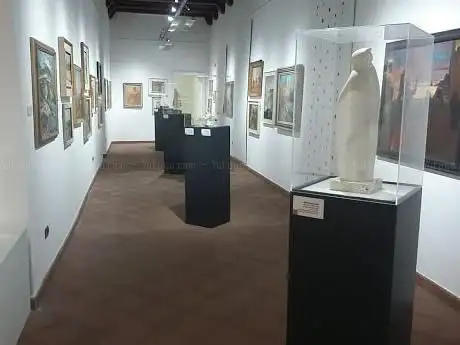 Carlo Contini Council Picture Gallery