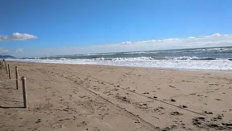 Photo de Playa Paseos Chulos!