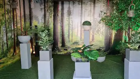 Het droombos