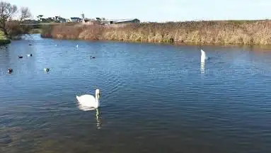 Photo de Mare aux canards