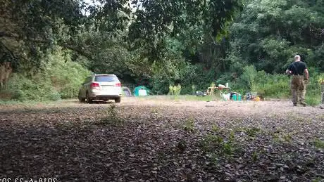 Pineta tra ANZIO e LAVINIO