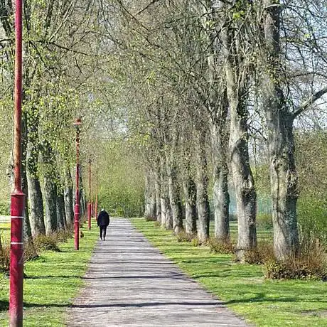 Photo de Parc de la Lawe