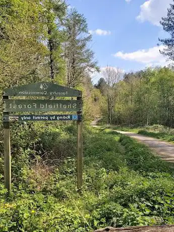 Photo de Sheffield Forest
