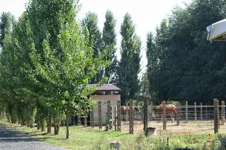 Circolo Ippico la Piramide