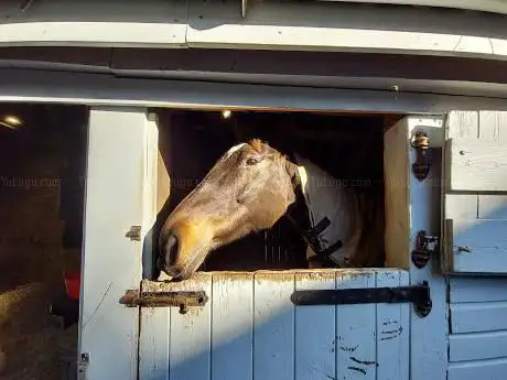 Photo de Equine Therapy Center