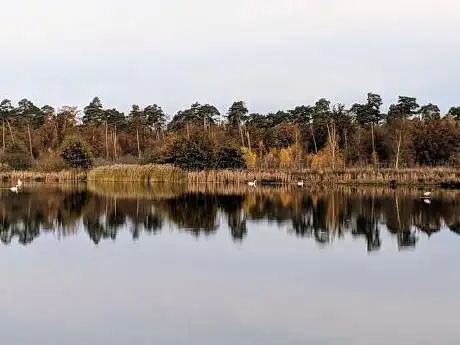 Langelinneput Vogelkijkhut