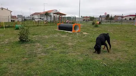 canino Laracha Park