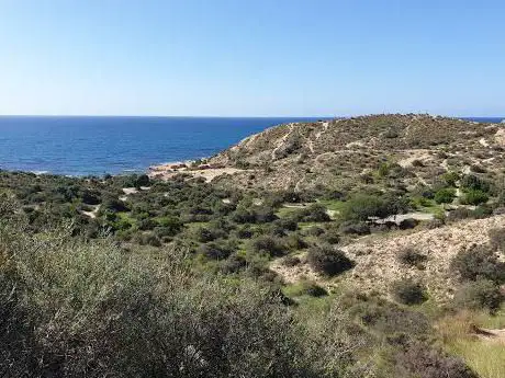 Photo de Microrreserva de flora Cabo de la Huerta