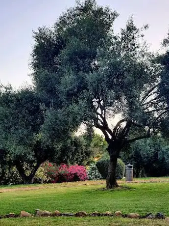 Parco Dino Marchionni