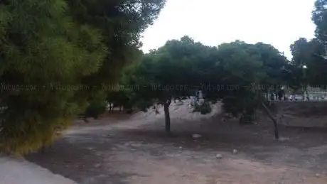 Photo de Cancha de Baloncesto Monte Tossal