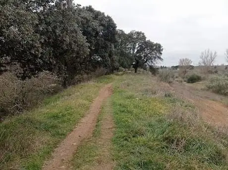 Photo de Senda Ecológica de El Romeral