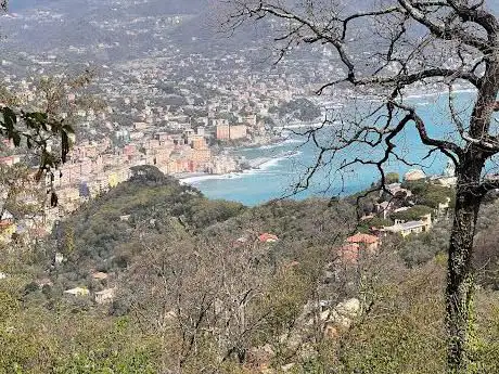 Pendici Monte Bello