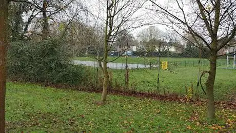 Basketball court
