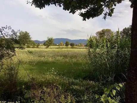 Photo de Area Naturale Protetta La Querciola Casa Di Zela