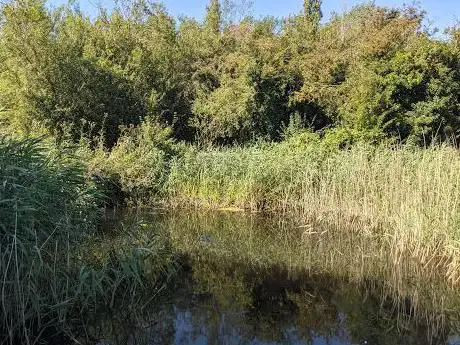 Photo de Ramsey Heights nature reserve