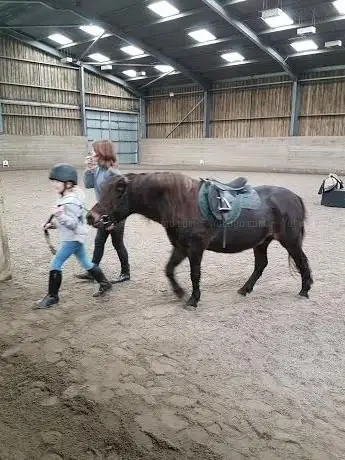 Barguse Riding Centre