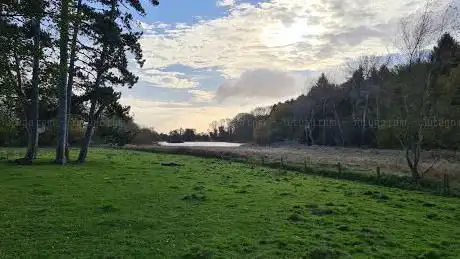 Londesborough Park