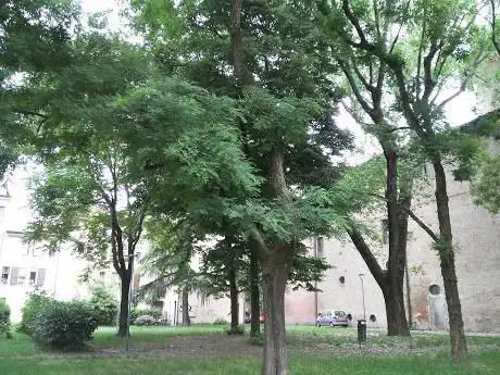 Photo de Parco San Filippo