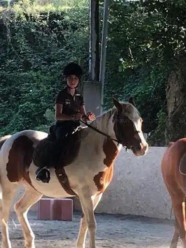Centre Equestre Du Grand Fougeray