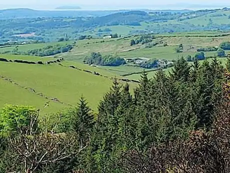 Gelliwion Woodland