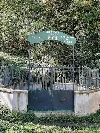 Photo de Source du Lys