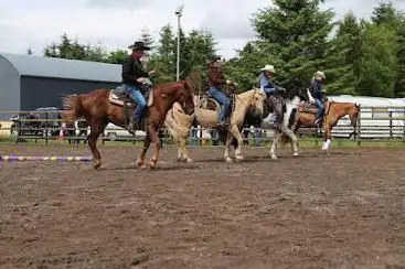 Photo de Drumcoura Equestrian Centre