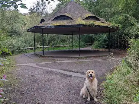 Heaton Park - Bandstand
