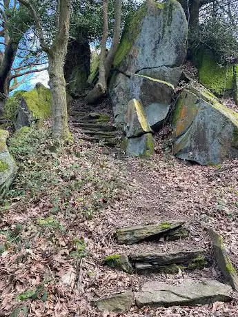 Twenty Steps