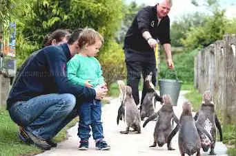 Peak Wildlife Park