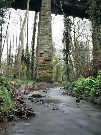 Baddesley Ensor Viaduct