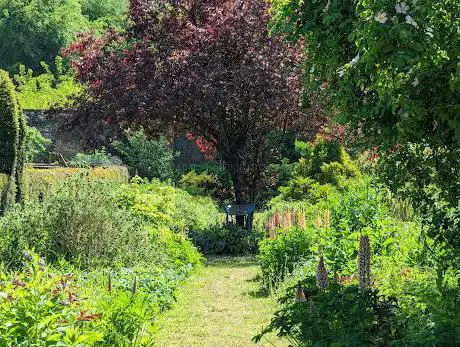 Photo de Walled Garden