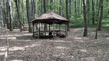 Photo de Bosco dei Morroni