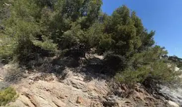 Photo de Sentier des Douaniers