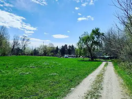 Photo de Parco Lombardo Della Valle Del Ticino