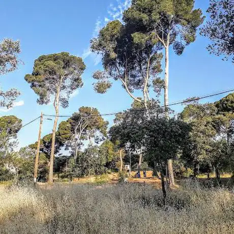 Bosc de Can Gorgs Park