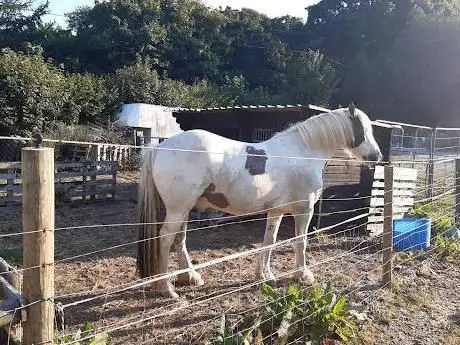 Pencarrow livery stables