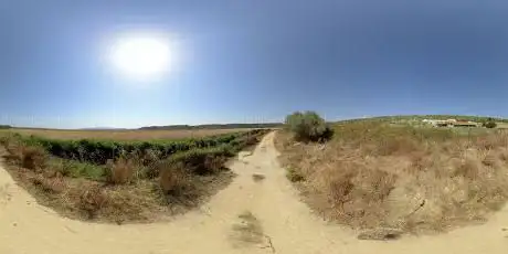 Photo de Sendero Ruta Ribera de La Oliva