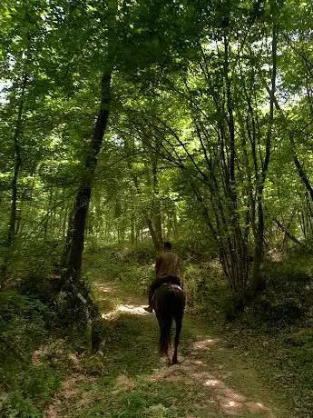 Photo de Sentieri delle Cerbaie